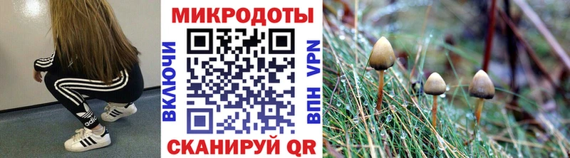 Галлюциногенные грибы ЛСД  цены наркотик  Котово 